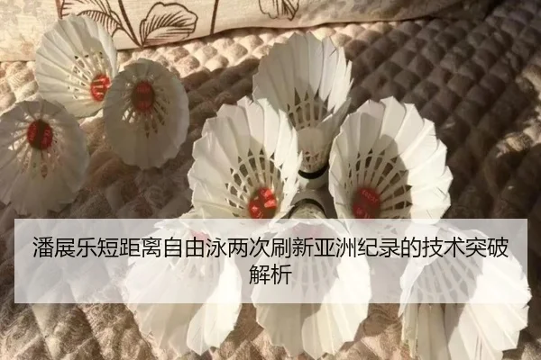pan-zhan-le-duan-ju-li-zi-you-yong-liang-ci-shua-xin-ya-zhou-ji-lu-de-ji-shu-tu-po-jie-xi-2-224.jpg