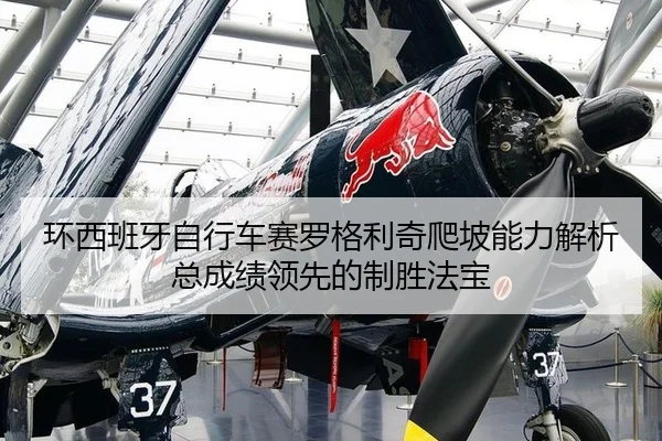huan-xi-ban-ya-zi-xing-che-sai-luo-ge-li-qi-pa-po-neng-li-jie-xi-zong-cheng-ji-ling-xian-de-zhi-sheng-fa-bao-3-105.jpg