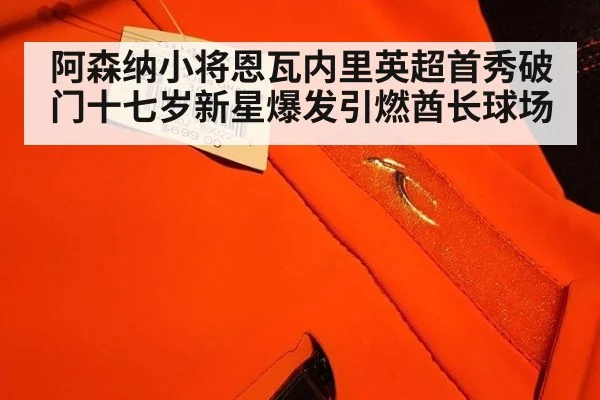 阿森纳小将恩瓦内里英超首秀破门十七岁新星爆发引燃酋长球场